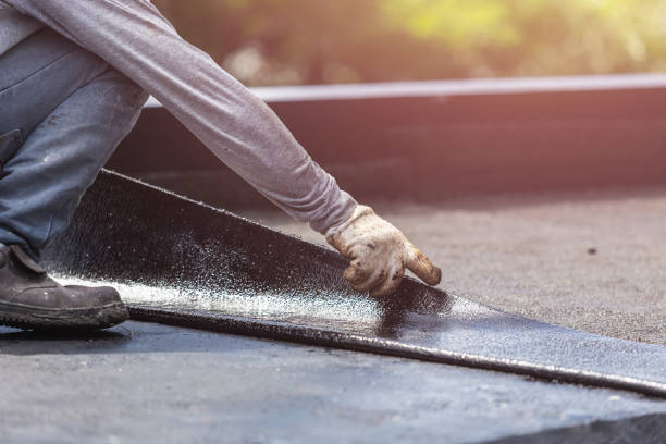 Professional Wet Basement Repair technician working in Honeoye, NY